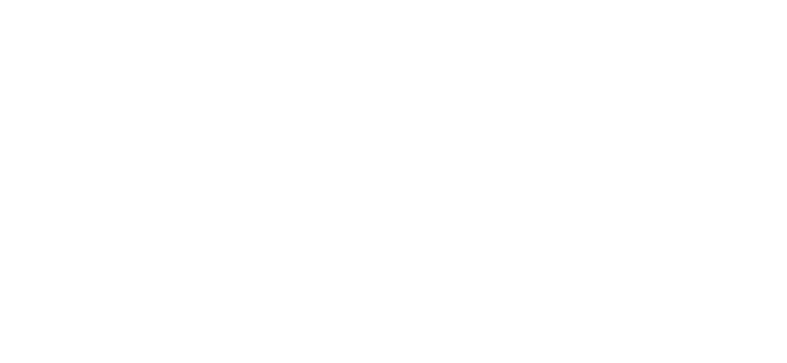 Emirates Airline Virtual