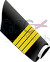 Chief Pilot